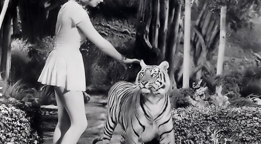 Anne Francis | "Forbidden Planet" (1956)